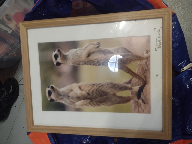 Kennards Self Storage Kunda Park Bid on Storage Unit auction IB-2606