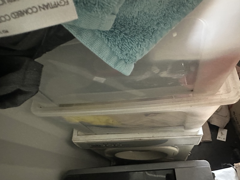 Locbox Self Storage Storage Unit auction IB-6800