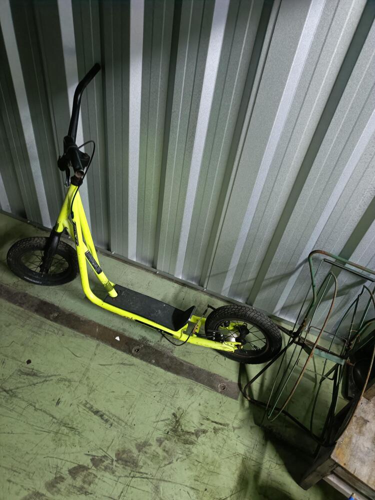 Storage King Lisarow Bid on Storage Unit auction IB-3749