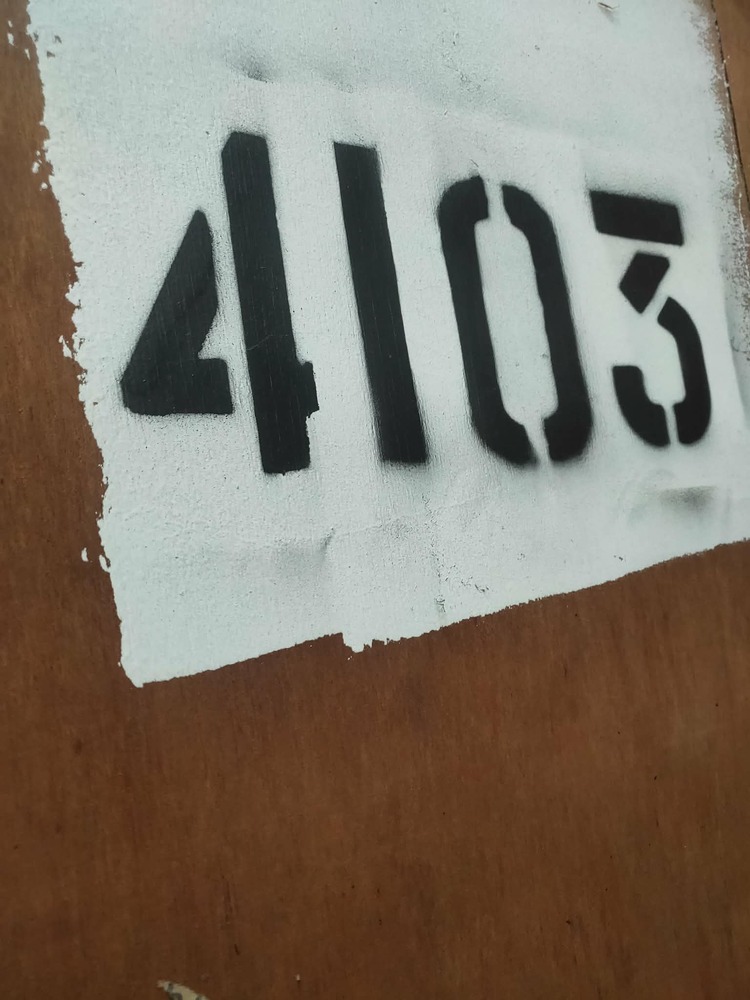 Grace Removals Storage Seven Hills Storage Facility Unit auction IB-7095