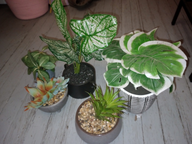 Kennards Self Storage Fortitude Valley Self Storage Auctions auction IB-8918