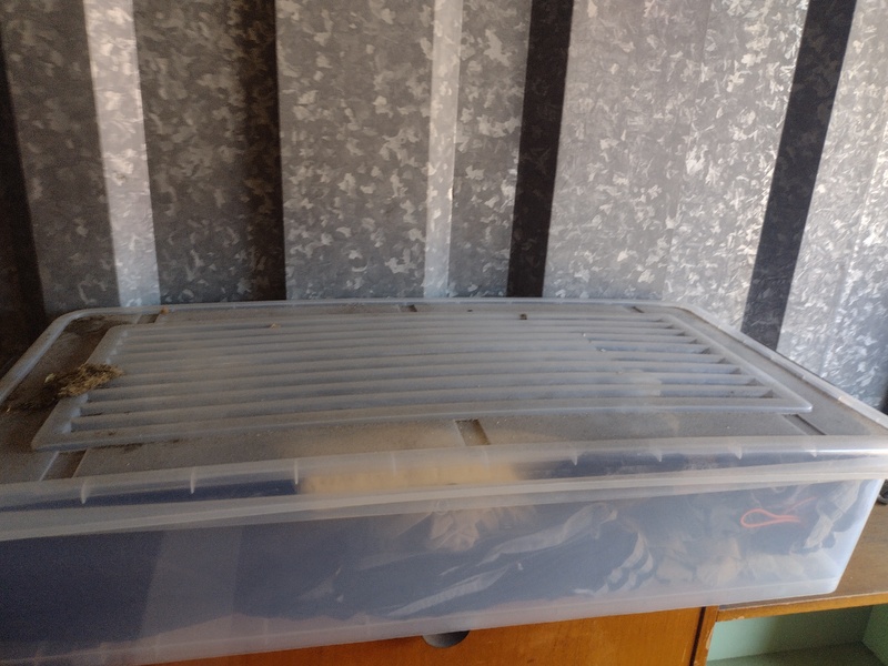 Kennards Self Storage Wentworthville Storage garage Auctions auction IB-1756