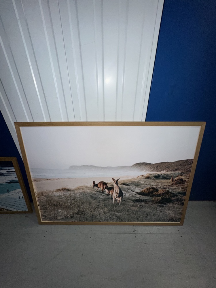 Rent a Space Moore Park Bid on Storage Unit auction IB-8964