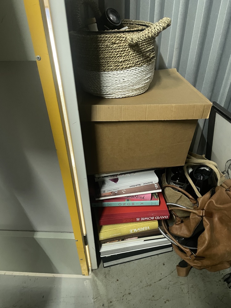 Rent a Space Moore Park Storage Facility Unit auction IB-3356